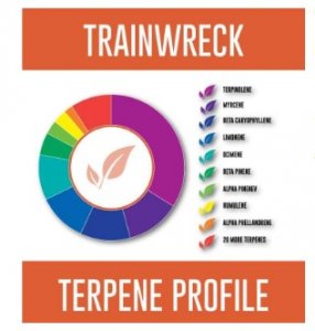 Pinnacle Hemp Trainwreck CBD Disposable Vape Pen (150MG)