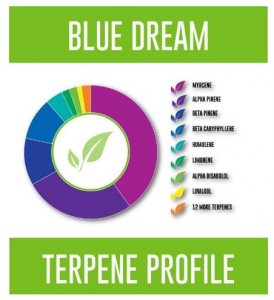 Pinnacle Hemp Blue Dream CBD Disposable Vape Pen (150MG)