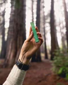 Mint – CBD Vape Pen 3 Pack