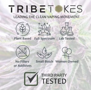 CBD Oil Vape Pen Starter Kit  Saber Battery + Full Gram Cart (Bundle – Save $25)