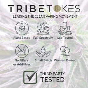 CBD Disposable Vape Pen 2-Pack  Choose 2 Strains (Save $20)