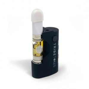 Delta 8 Vape Pen Starter Kit MINI Battery + Full Gram Cart (Bundle – Save $20)