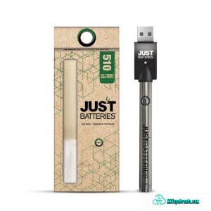 JustCBD Vape Pen Stainless Steel