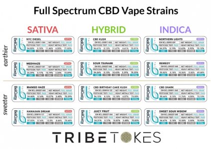 CBD Disposable Vape Pen | Remedy (Indica)